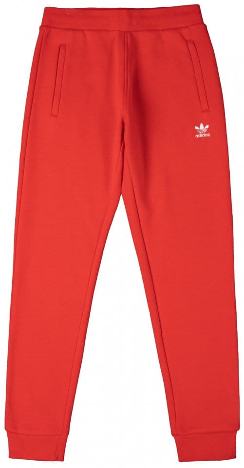 Pantalons adidas Originals Pantalon Adicolor Essentials