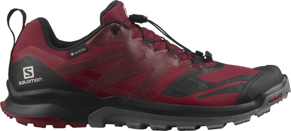 Chaussures de trail Salomon XA ROGG 2 GTX