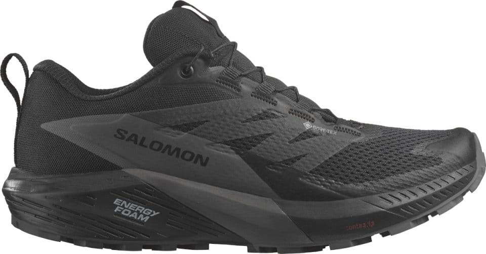 Chaussures de trail Salomon SENSE RIDE 5 GTX W